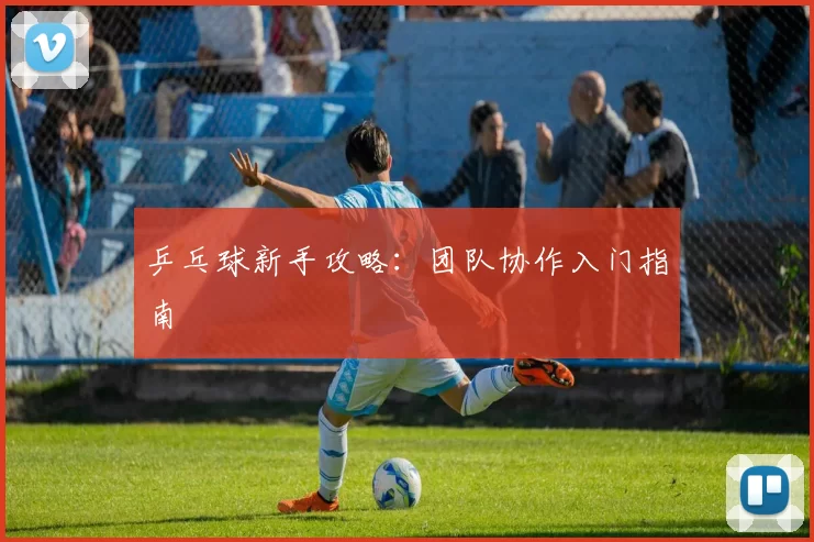 乒乓球新手攻略：团队协作入门指南