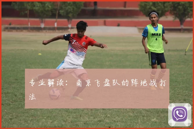 专业解读：南京飞盘队的阵地战打法