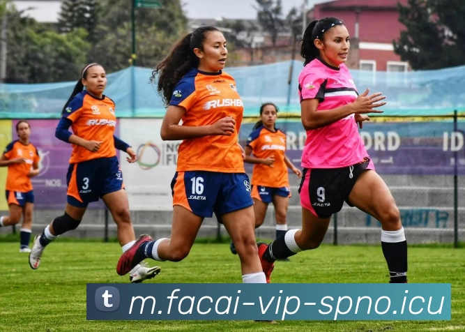 开云体育注册平台生态图