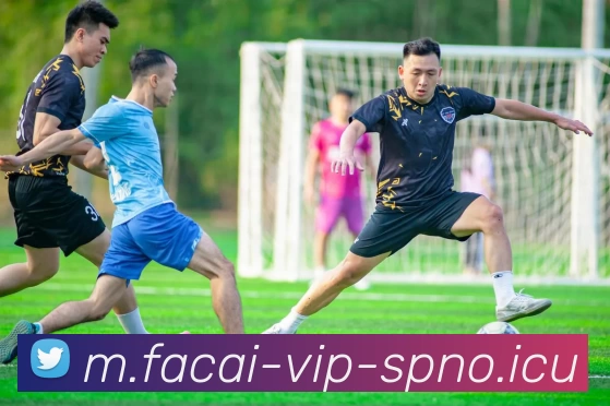 开云体育注册APP 封面图